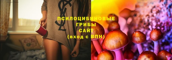 гашиш Арсеньев