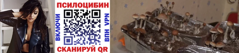 Галлюциногенные грибы GOLDEN TEACHER MEGA ссылка Уяр закладки